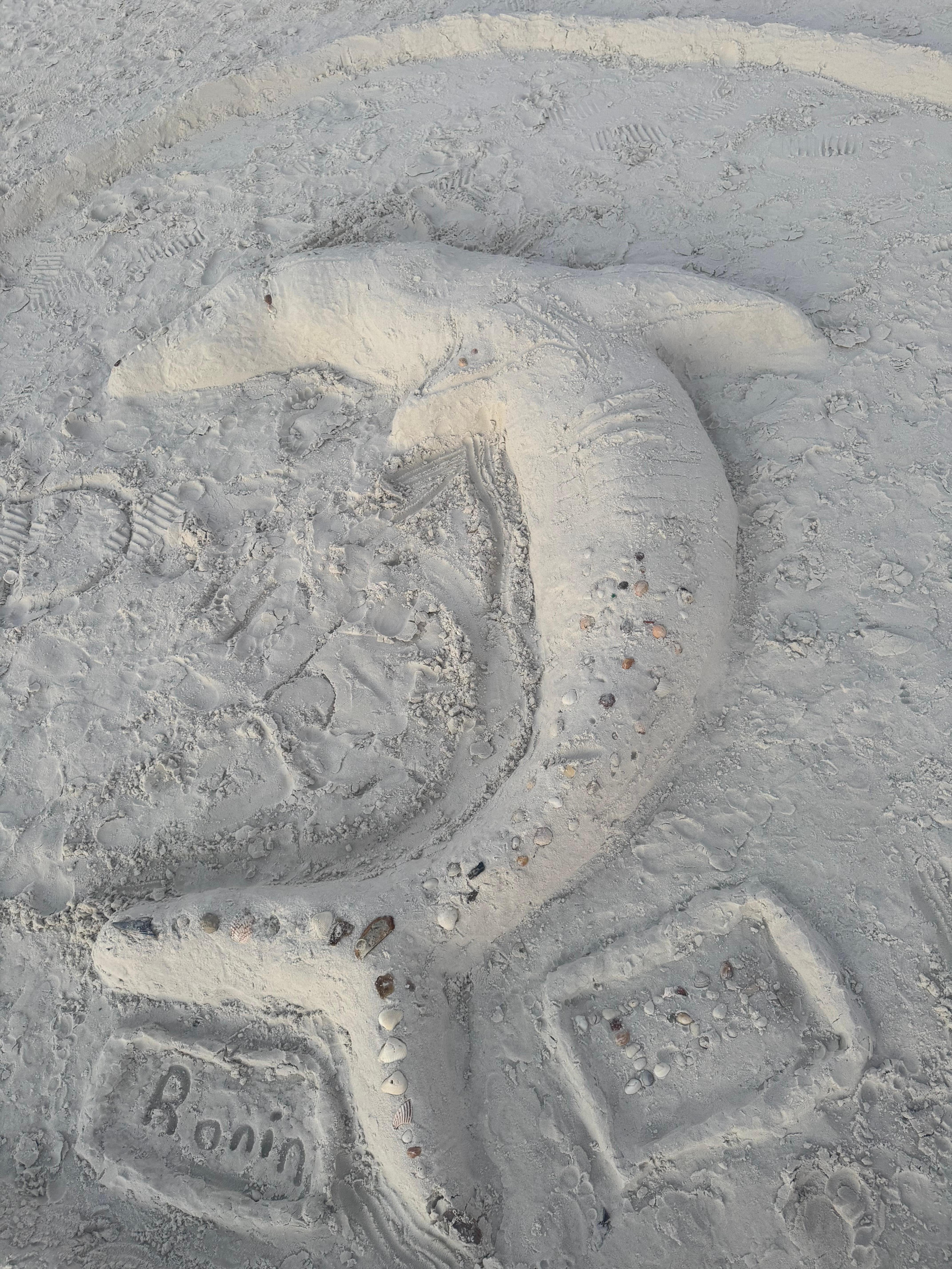 The fish was delicious!