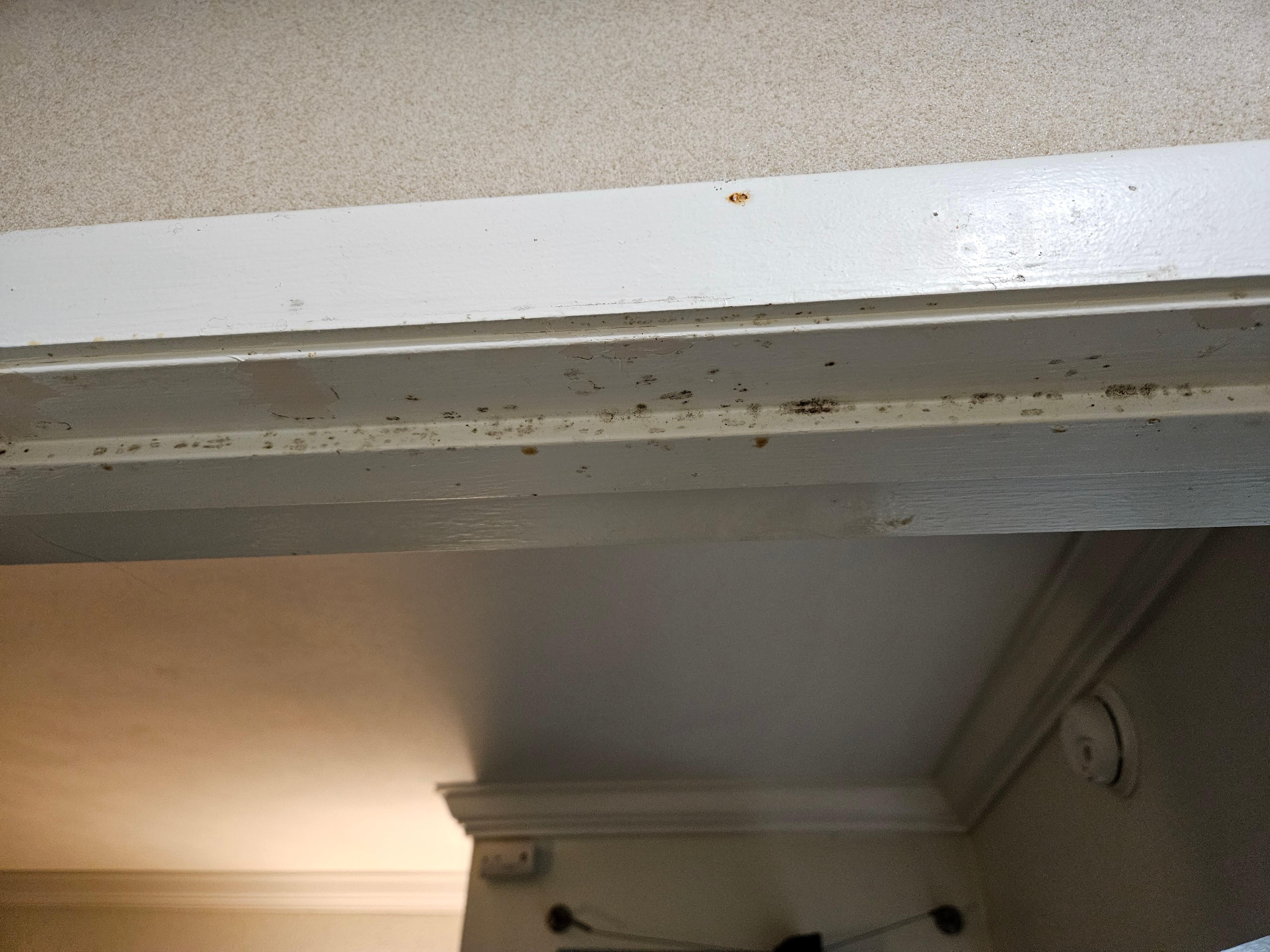 Mold