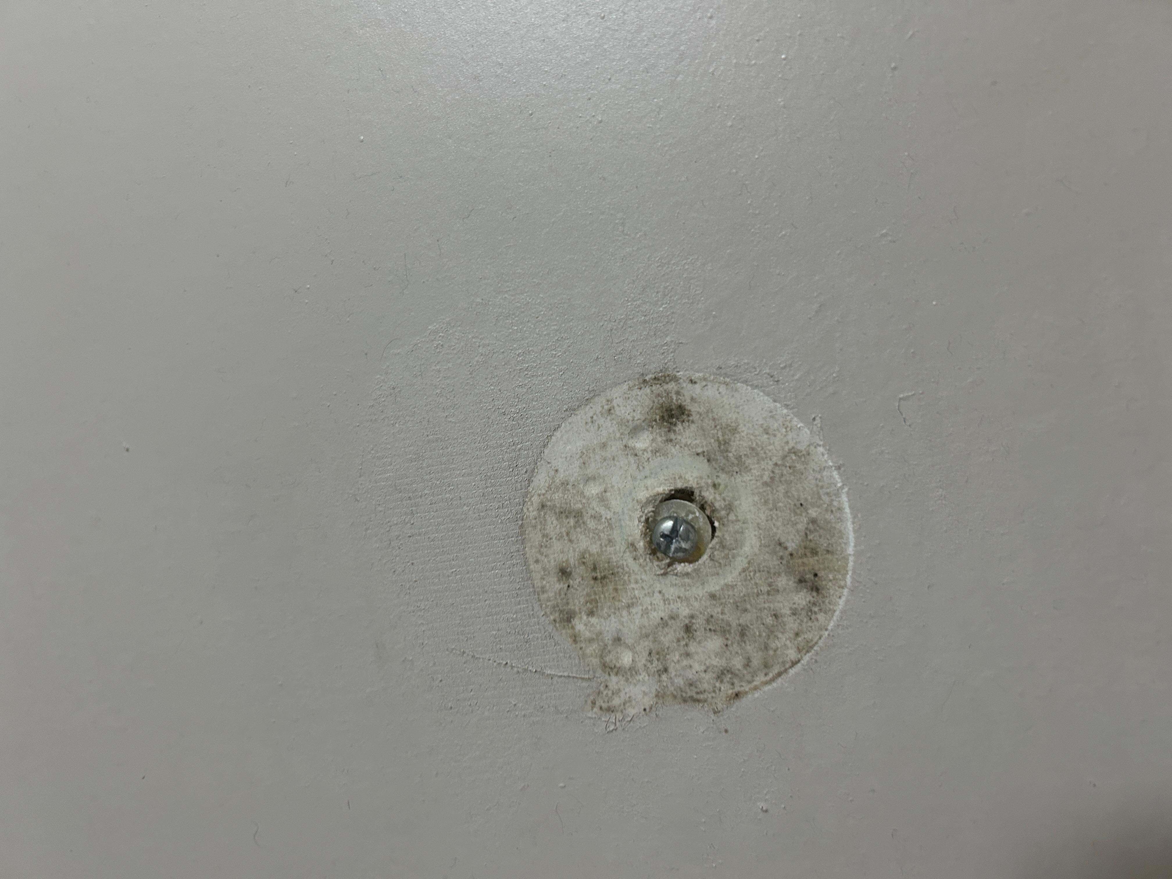 This was a spot on the bathroom wall- covered in mold and dirt.