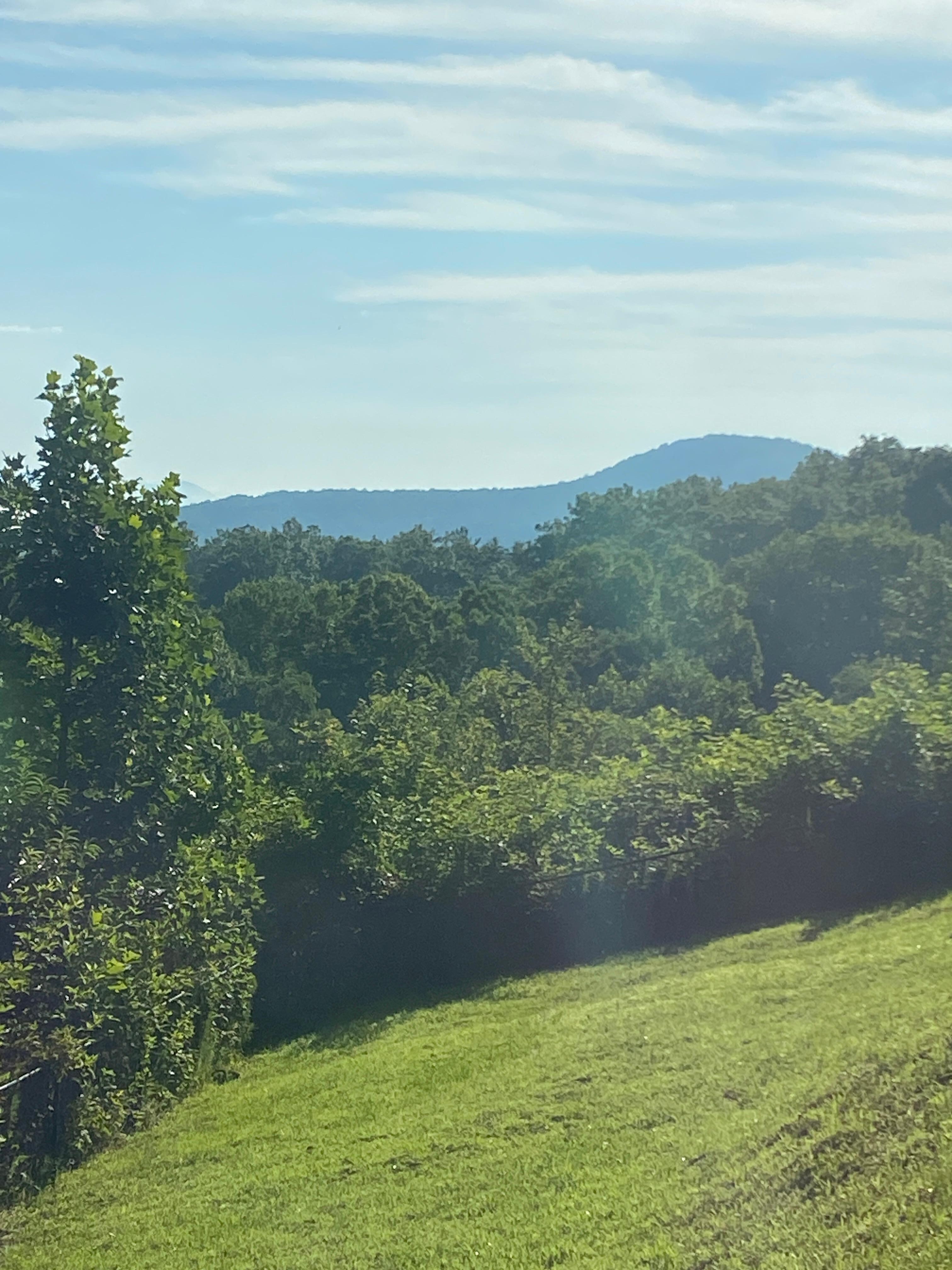 Beautiful view