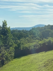 Beautiful view