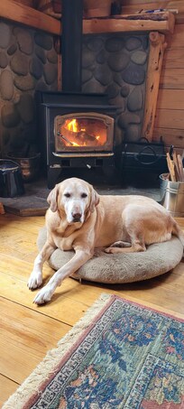 Woodburning stove to relax next to.
