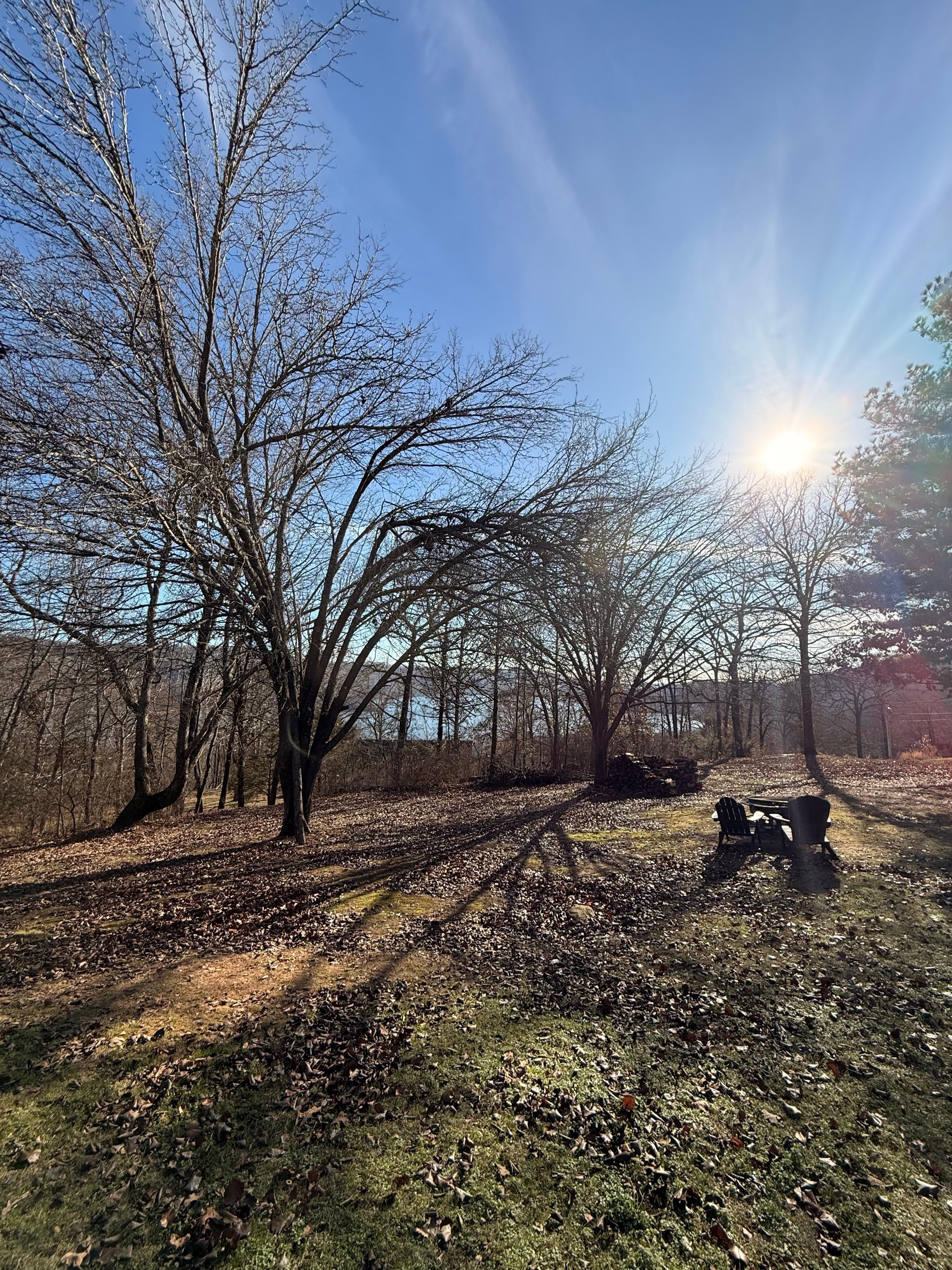 View from the house of the lake. 