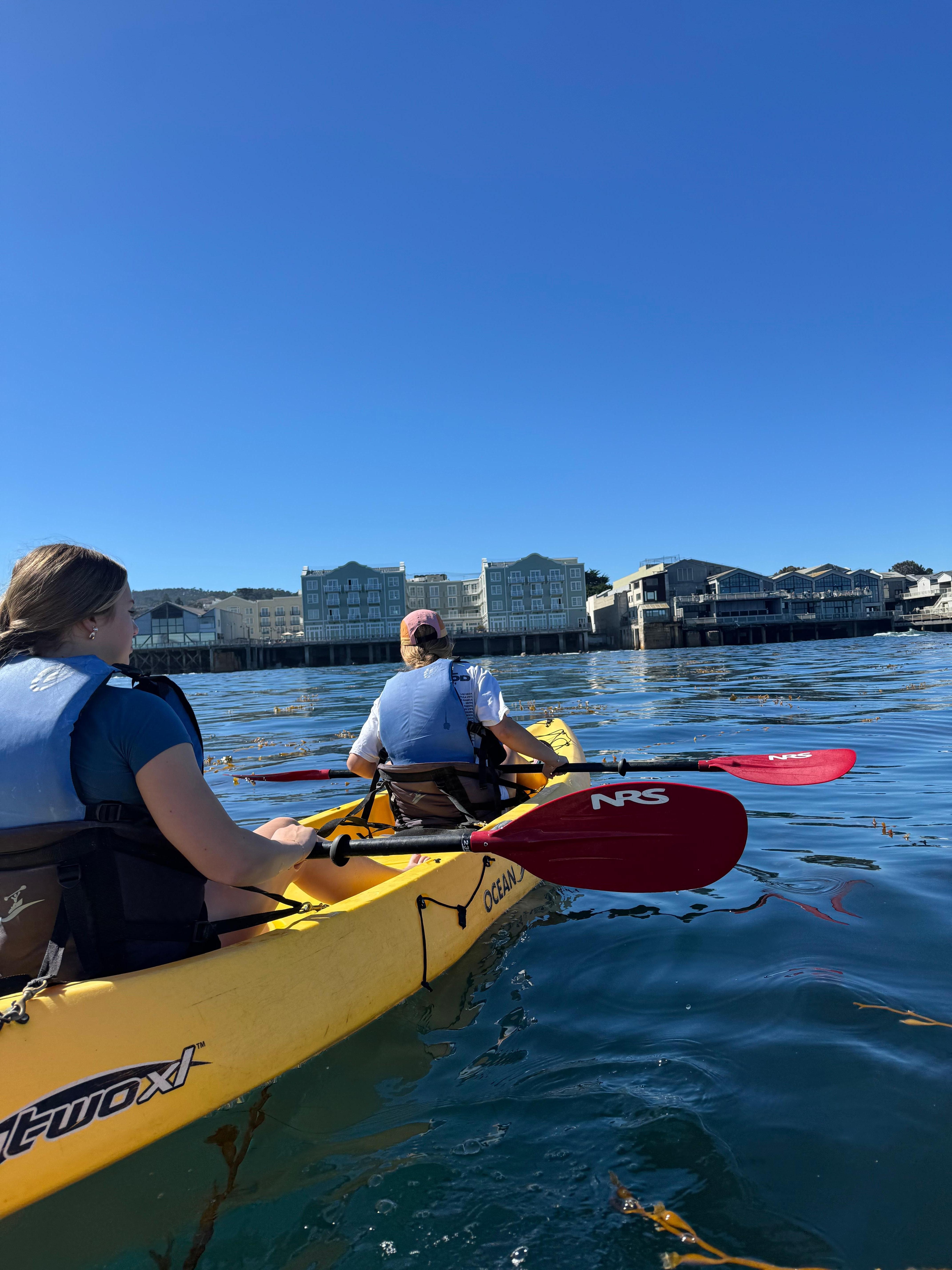 Walked from house to all