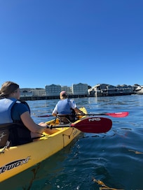 Walked from house to all