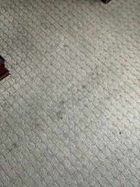Dirty carpet
