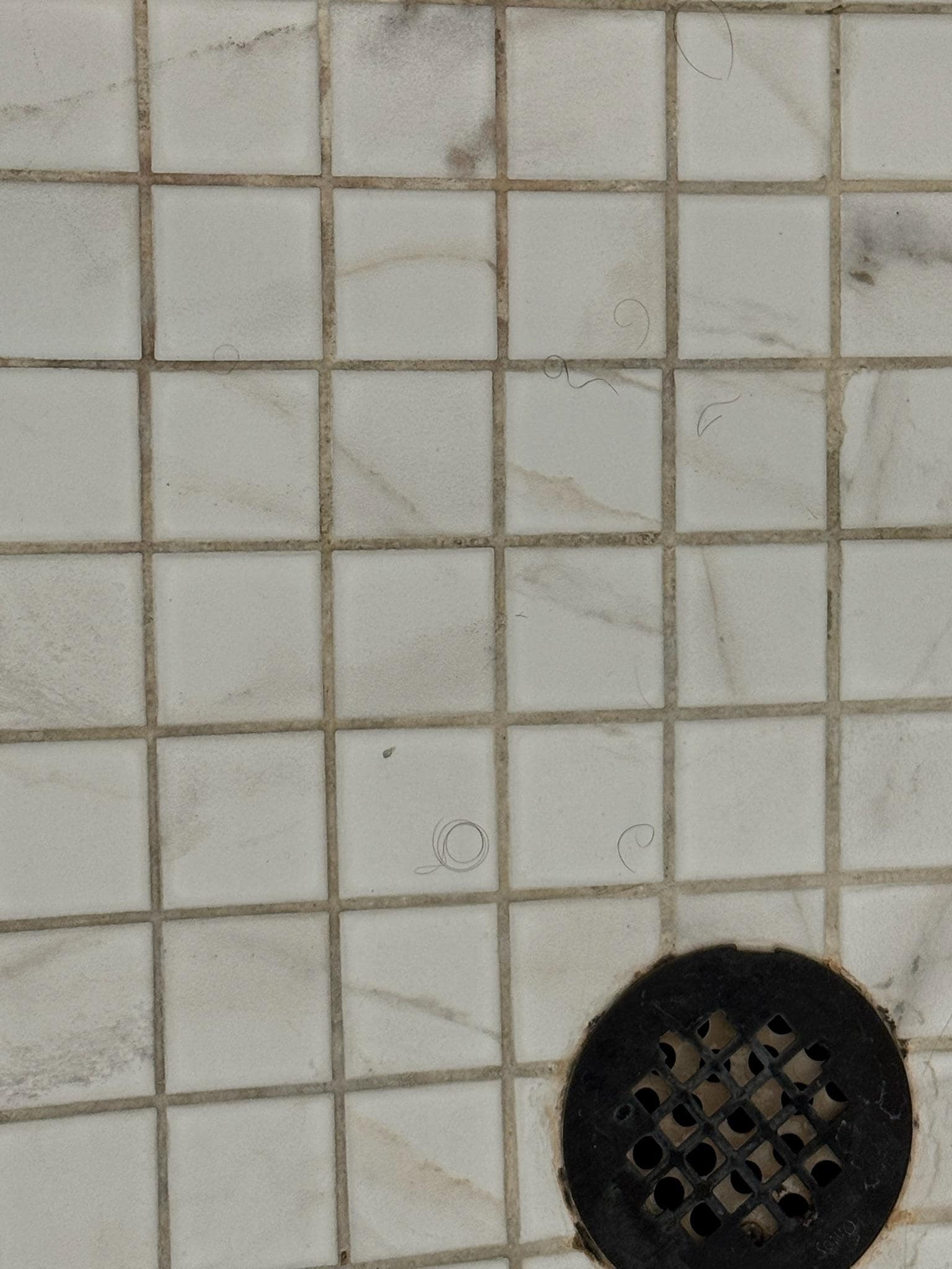 Hair in shower we hadn't used 