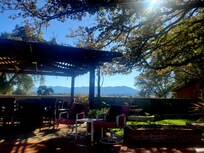 The view from the back yard! The weather was in the low to mid-70s - for Thanksgiving weekend! Cold at night, tho!