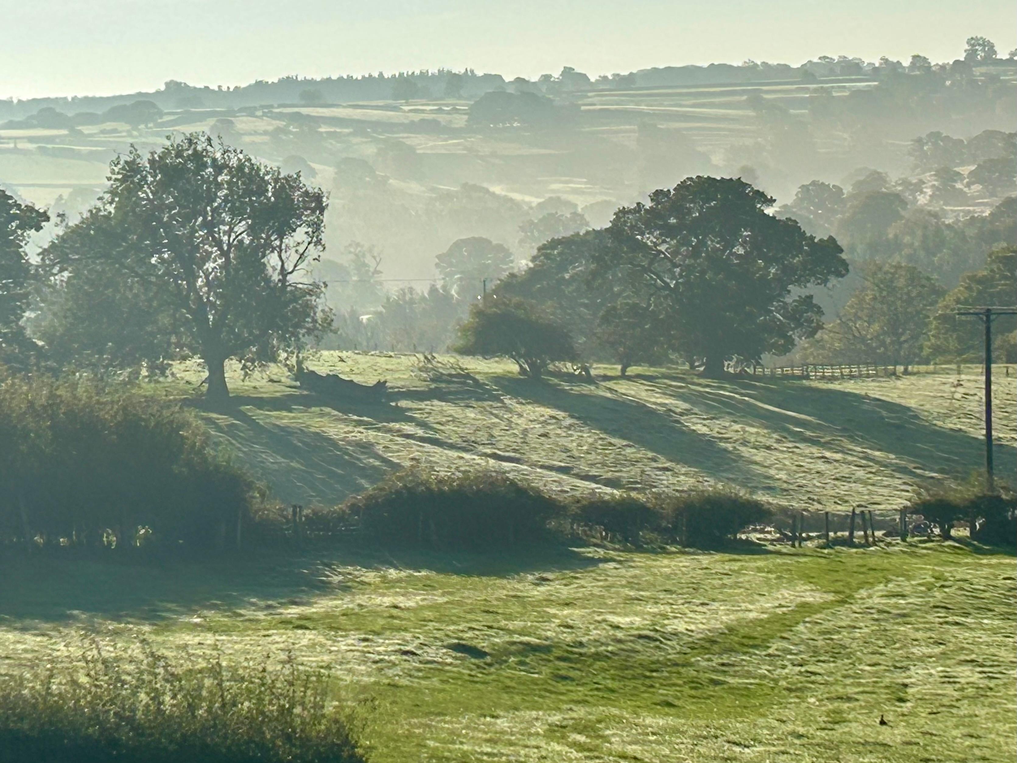 View from the upstairs window in the morning.