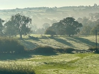 View from the upstairs window in the morning.
