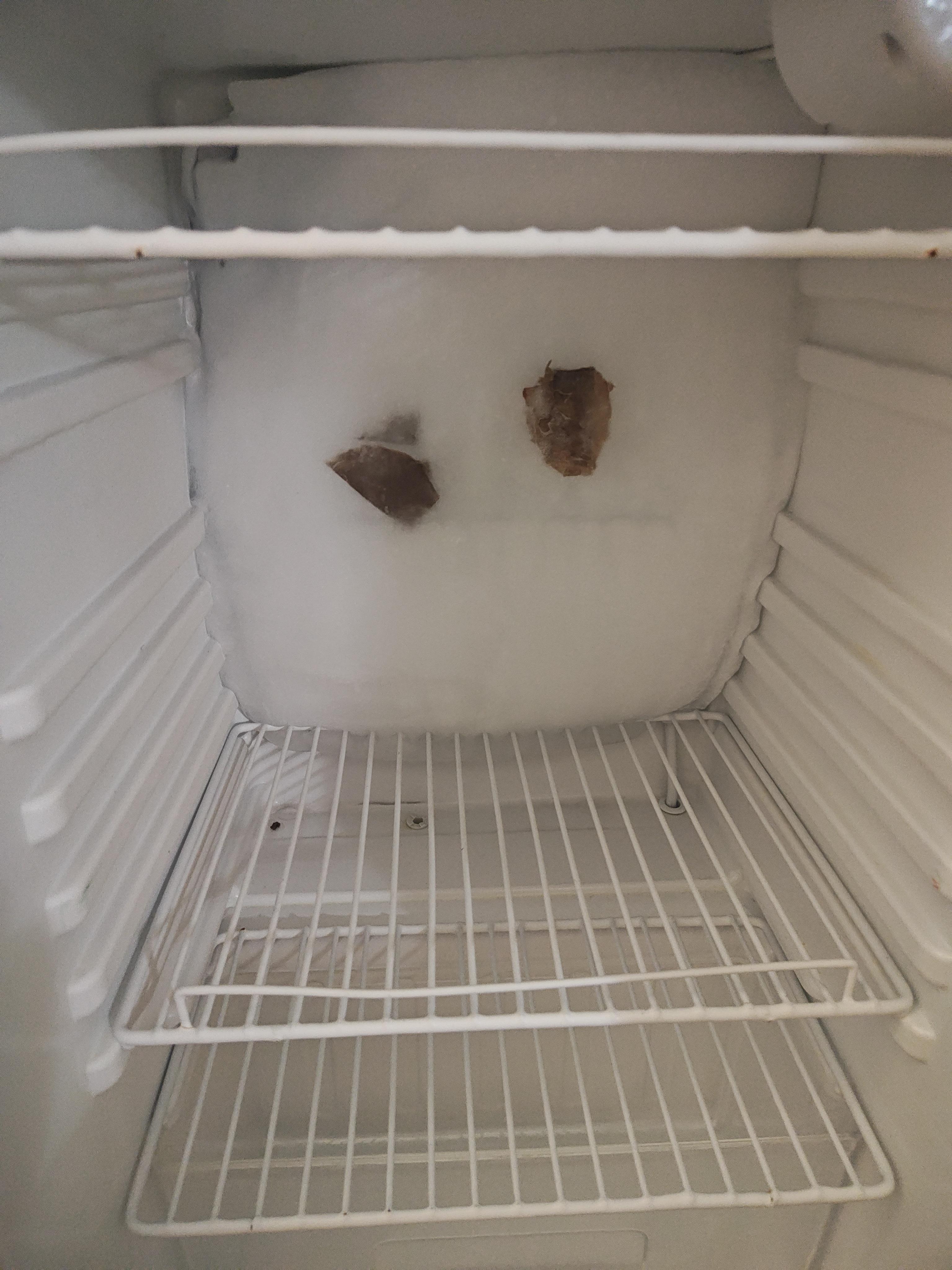 Frozen refrigerator with past guest trash frozen