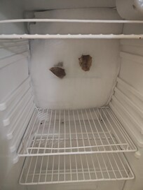 Frozen refrigerator with past guest trash frozen