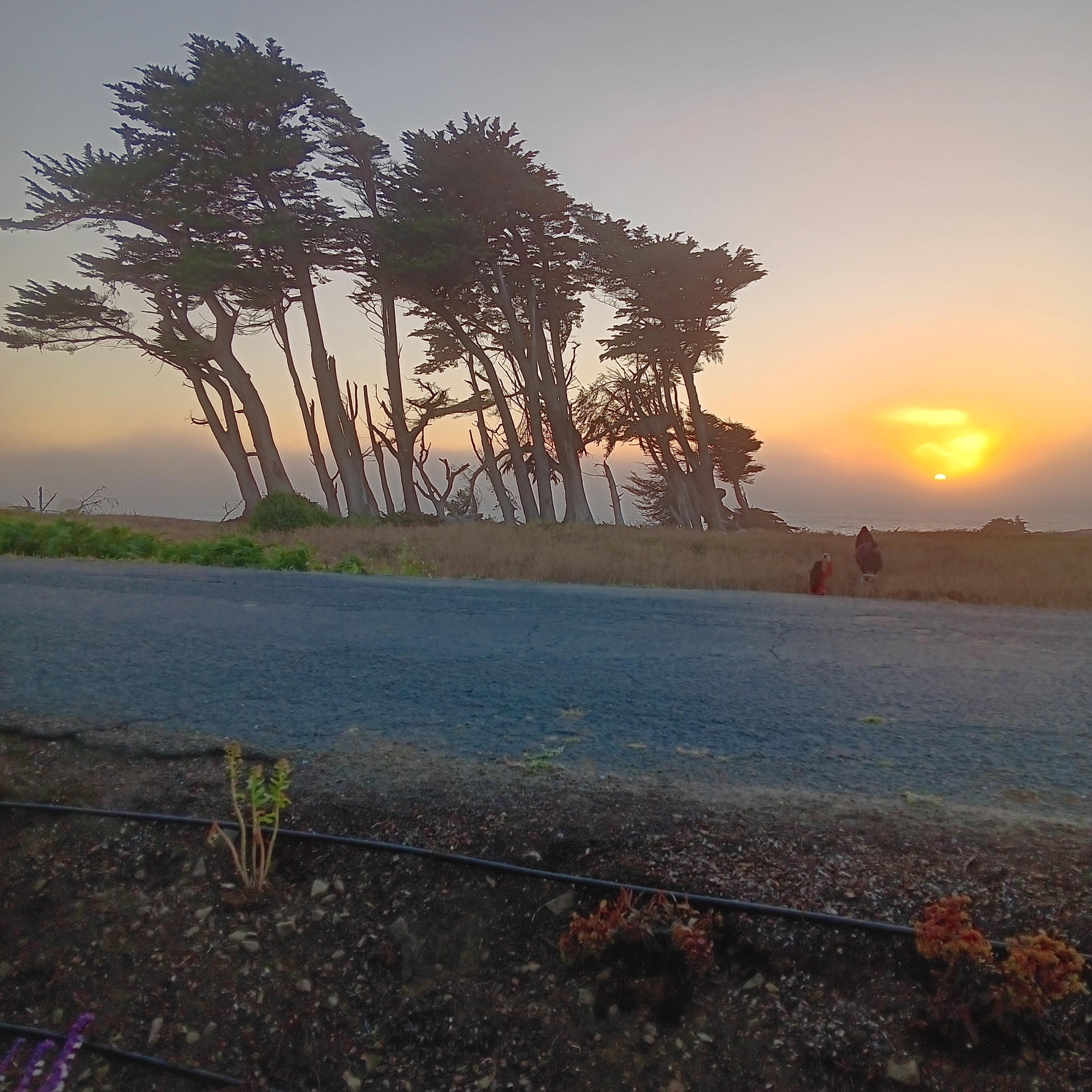 Coastal sunsets are the best!