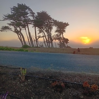 Coastal sunsets are the best!