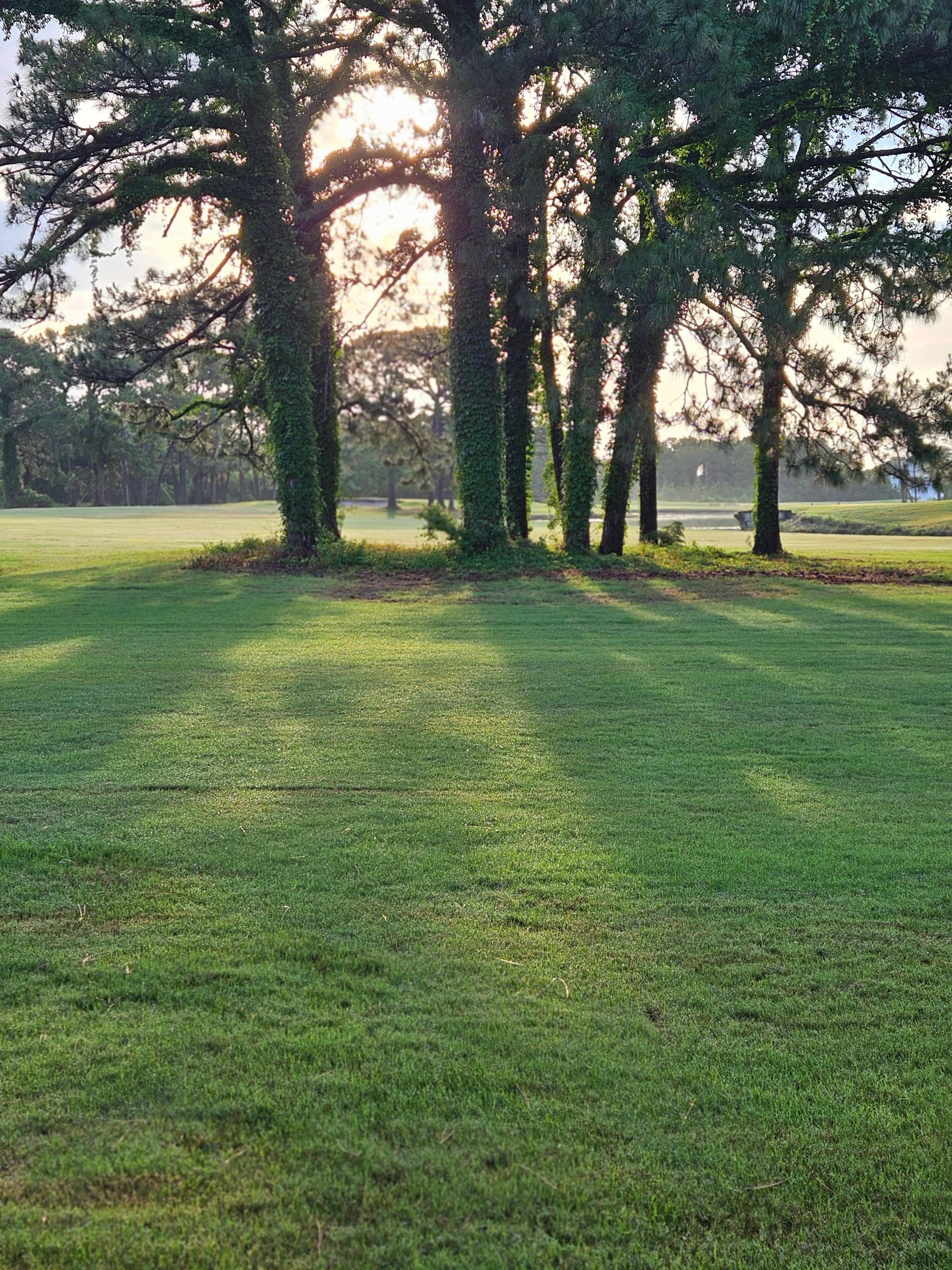 Peaceful mornings