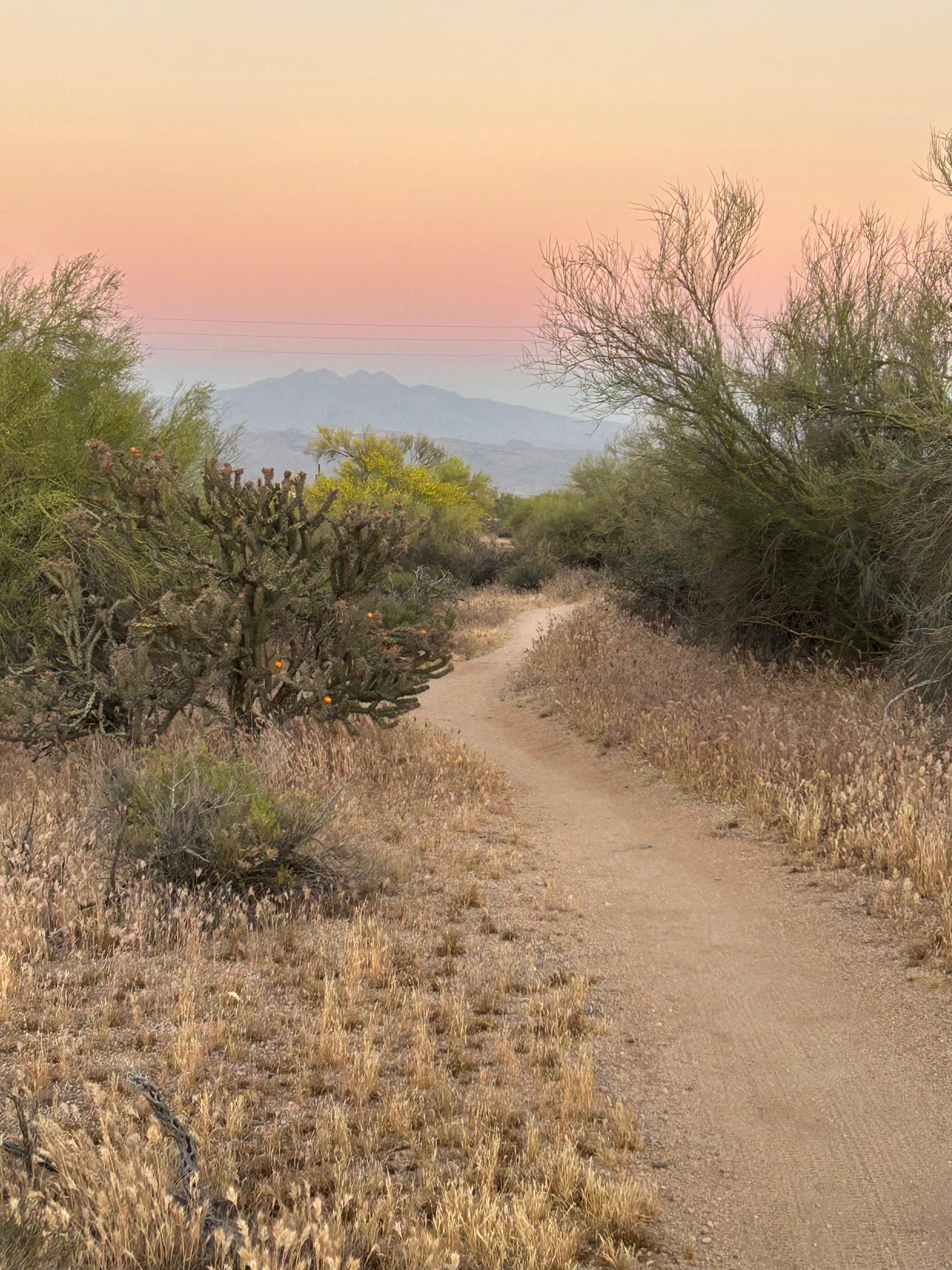 Not even a mile from the house on the walking trail. Gorgeous view 