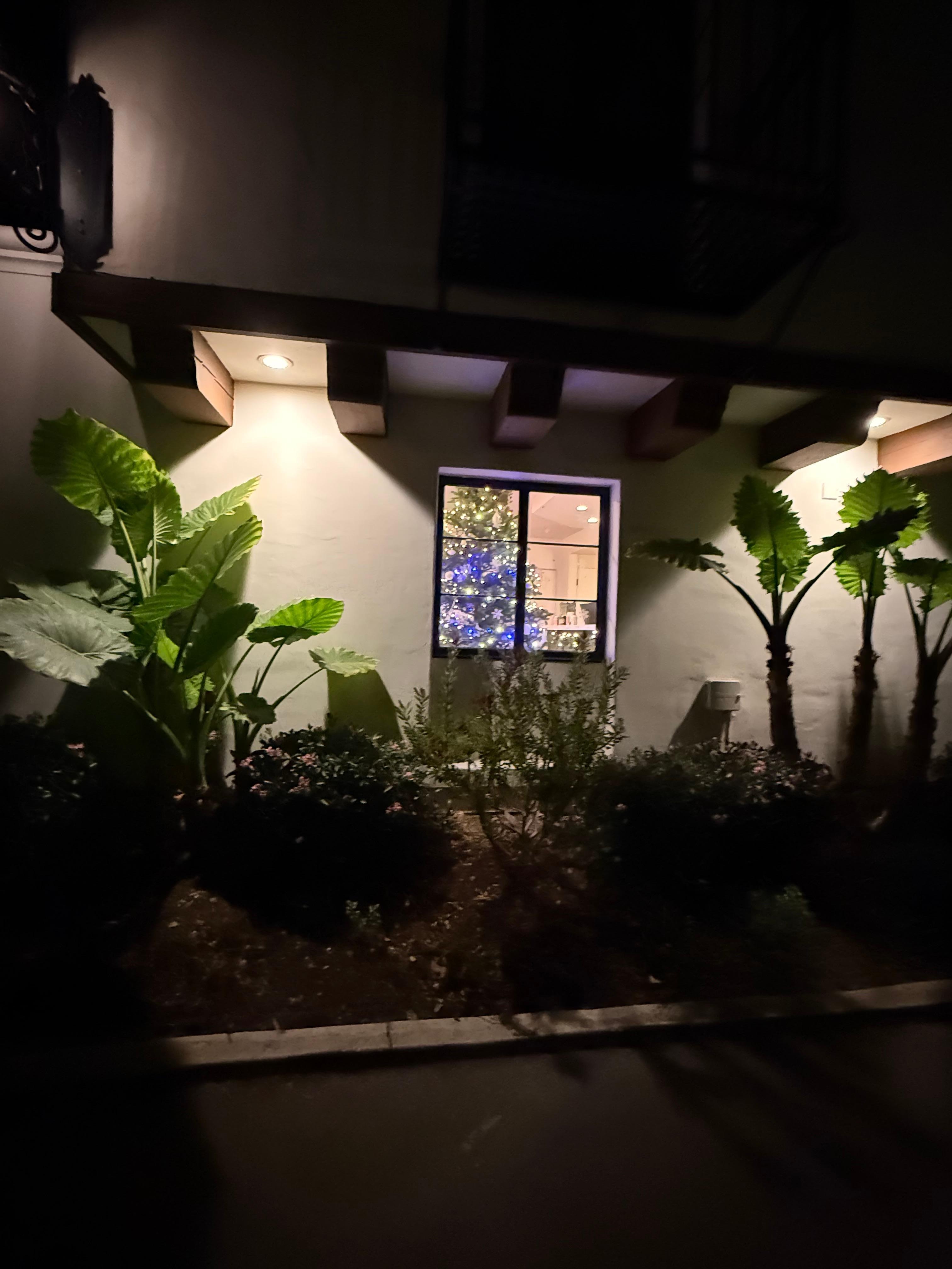 The view from the outside of the parking lot looking into the lobby 