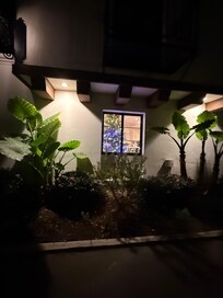 The view from the outside of the parking lot looking into the lobby