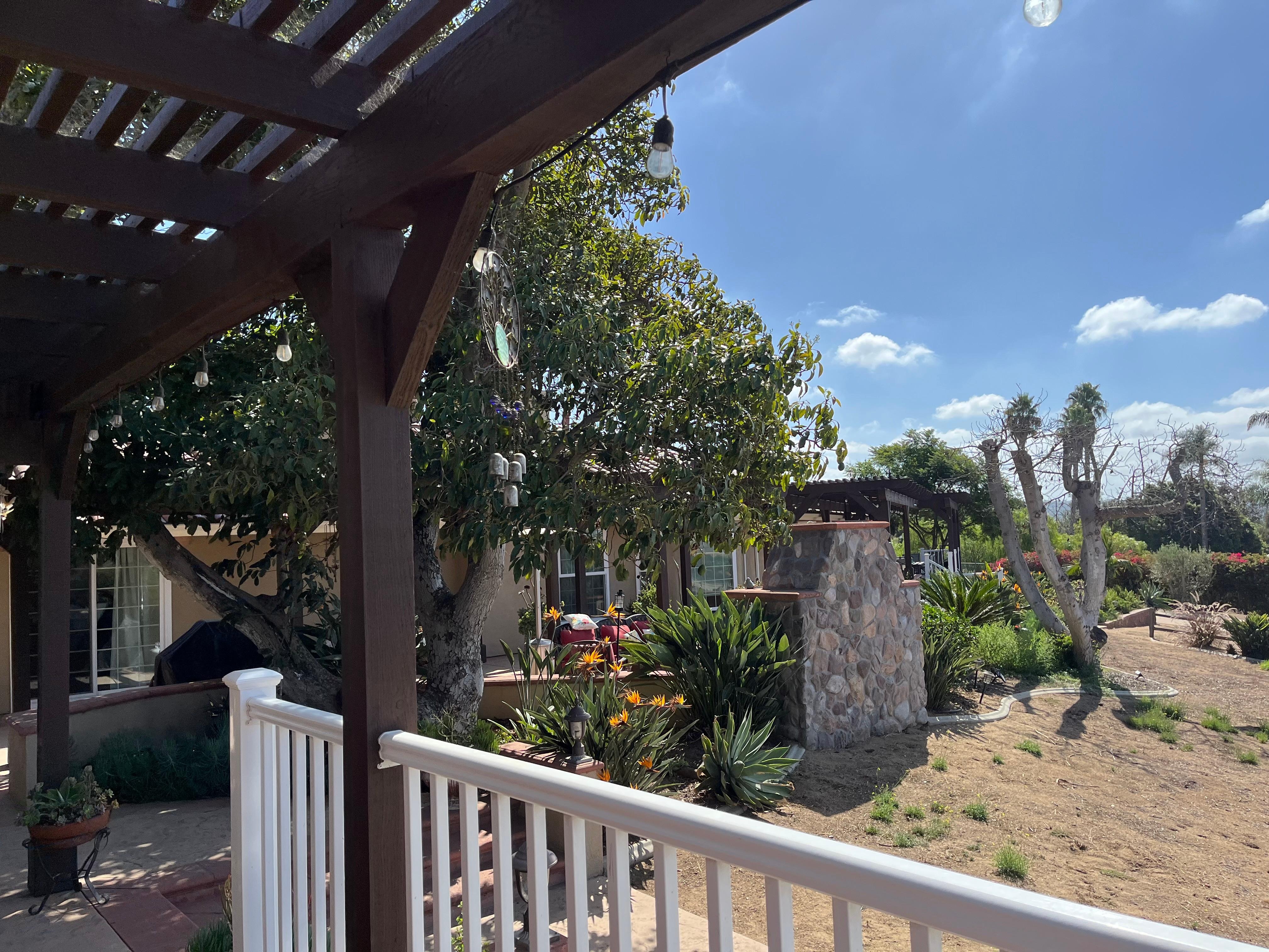 View from the porch!