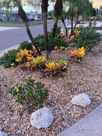 Beautiful plants out front.