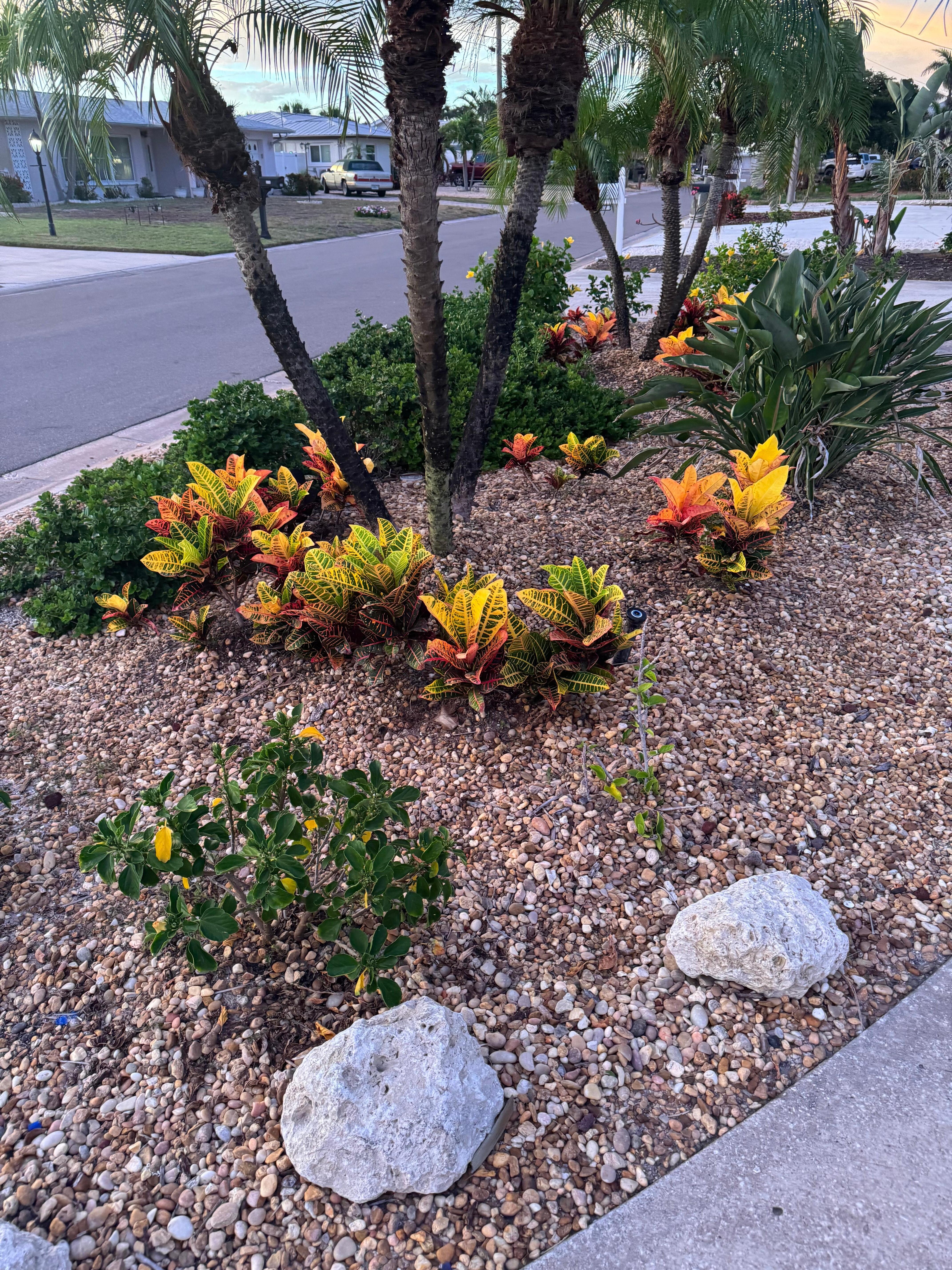 Beautiful plants out front. 