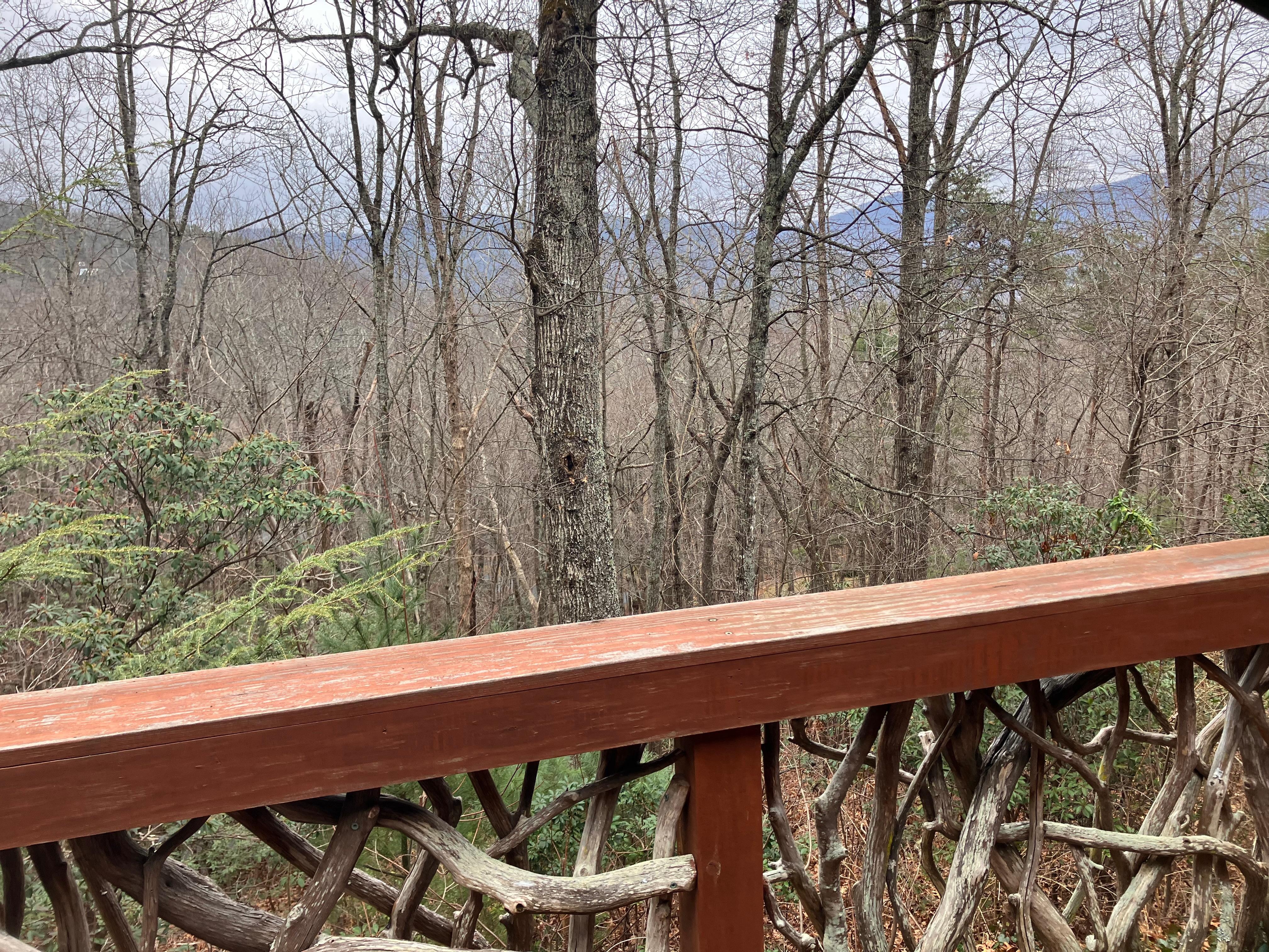 Love this rail design!