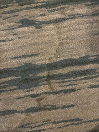 Filthy carpet in my room.