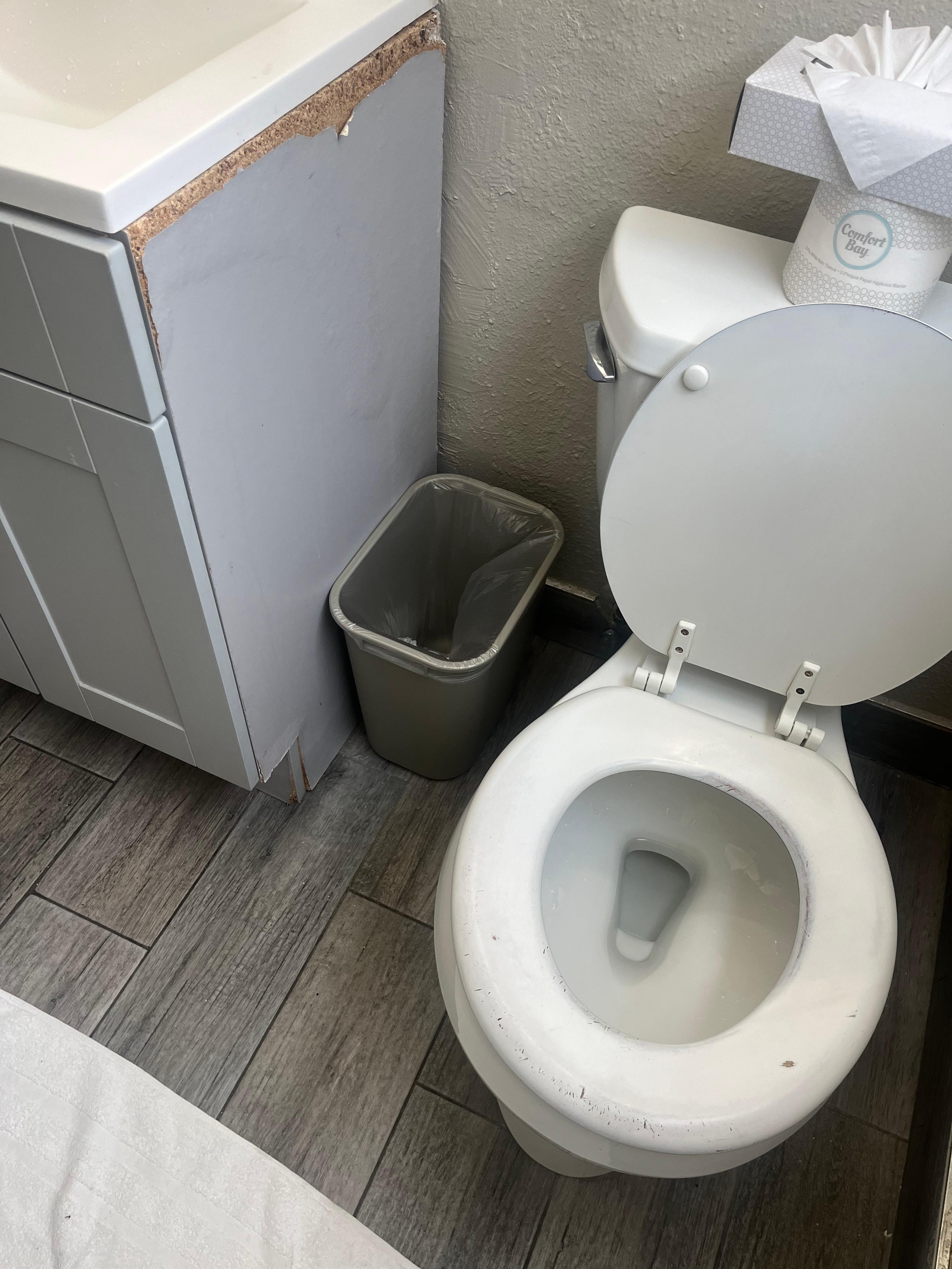 Cabinet falling apart, toilet seat worn out