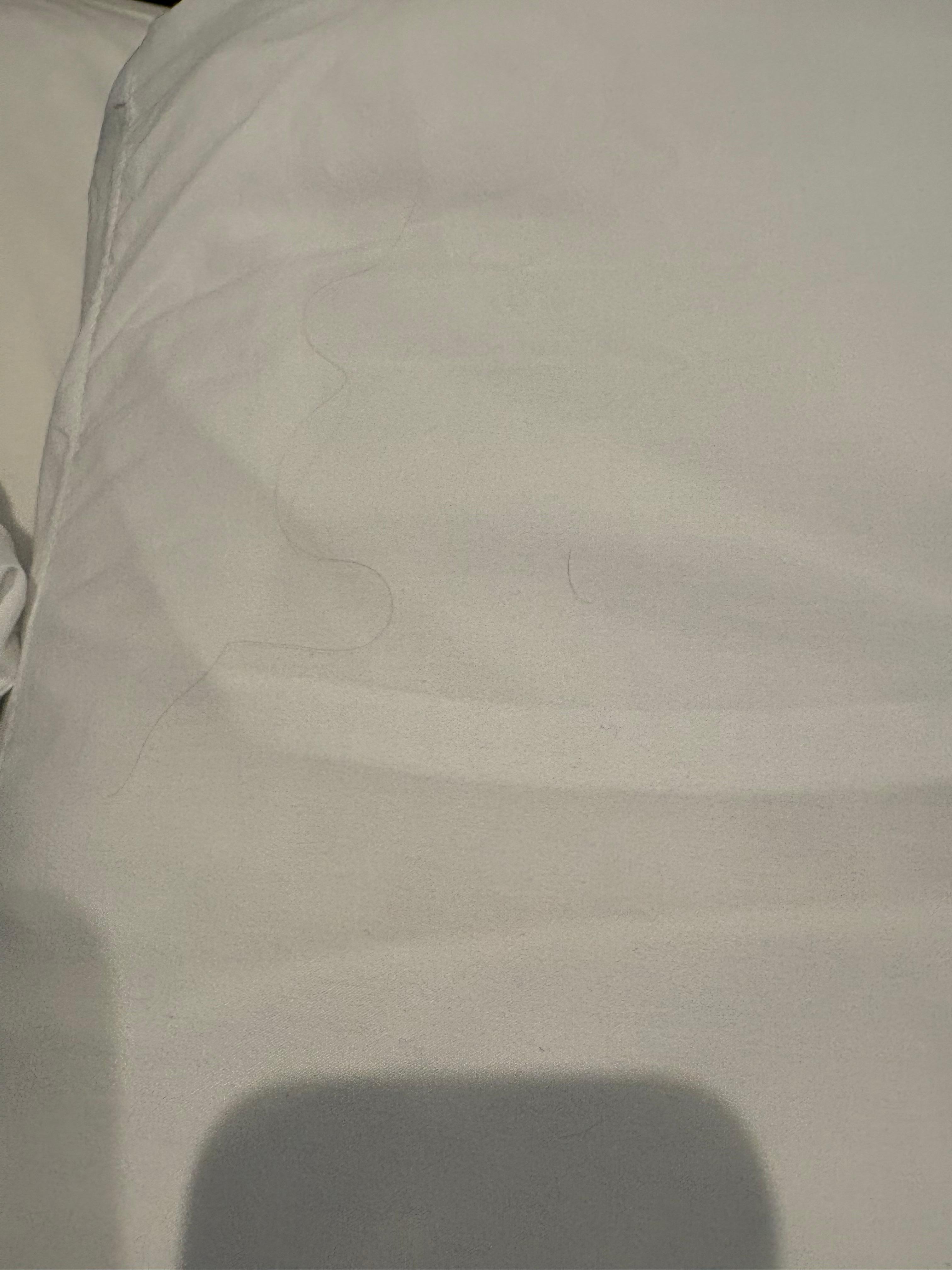 hair on pillow
