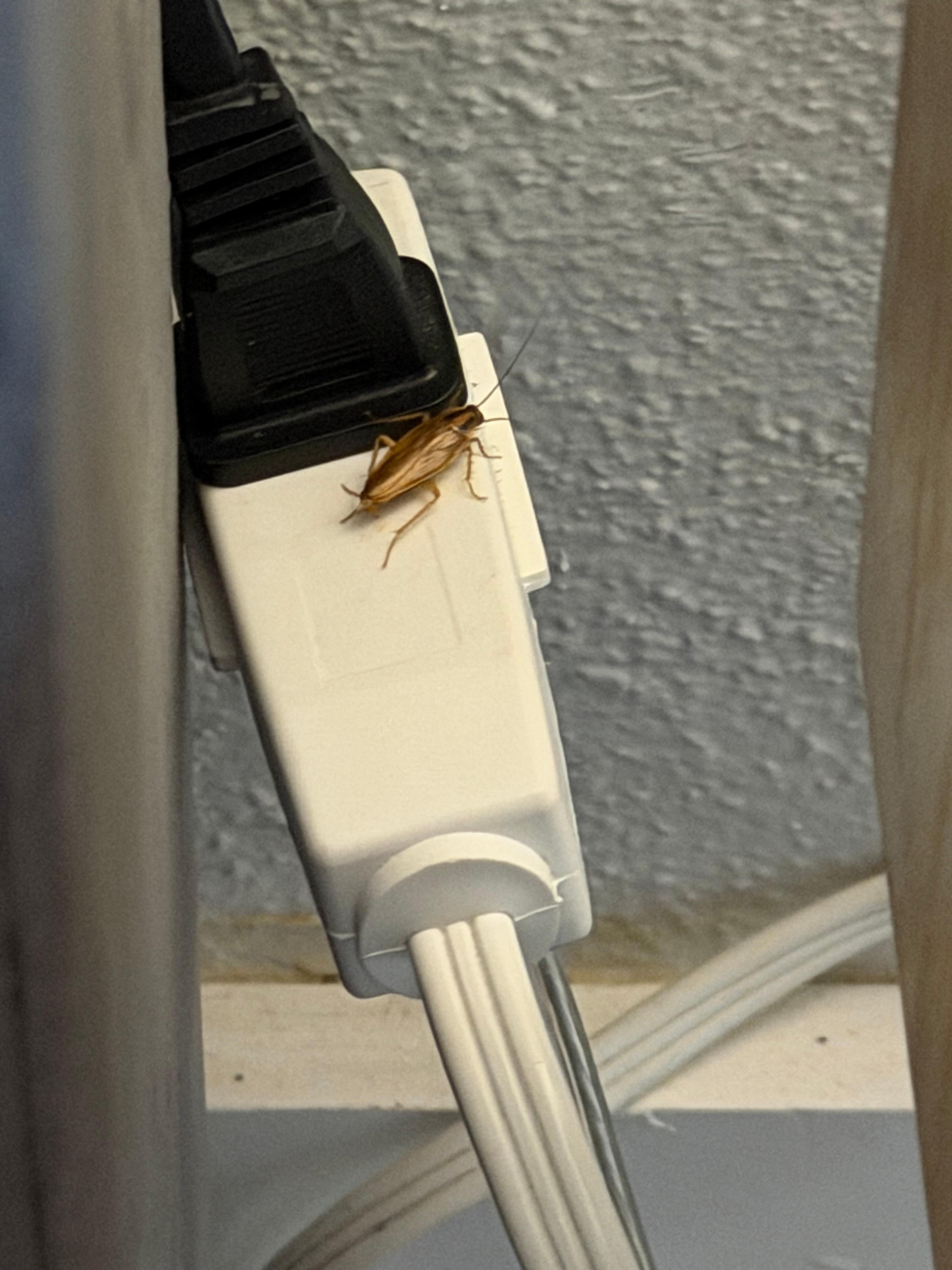 This was on the extension cord next to the nightstand in the bedroom 