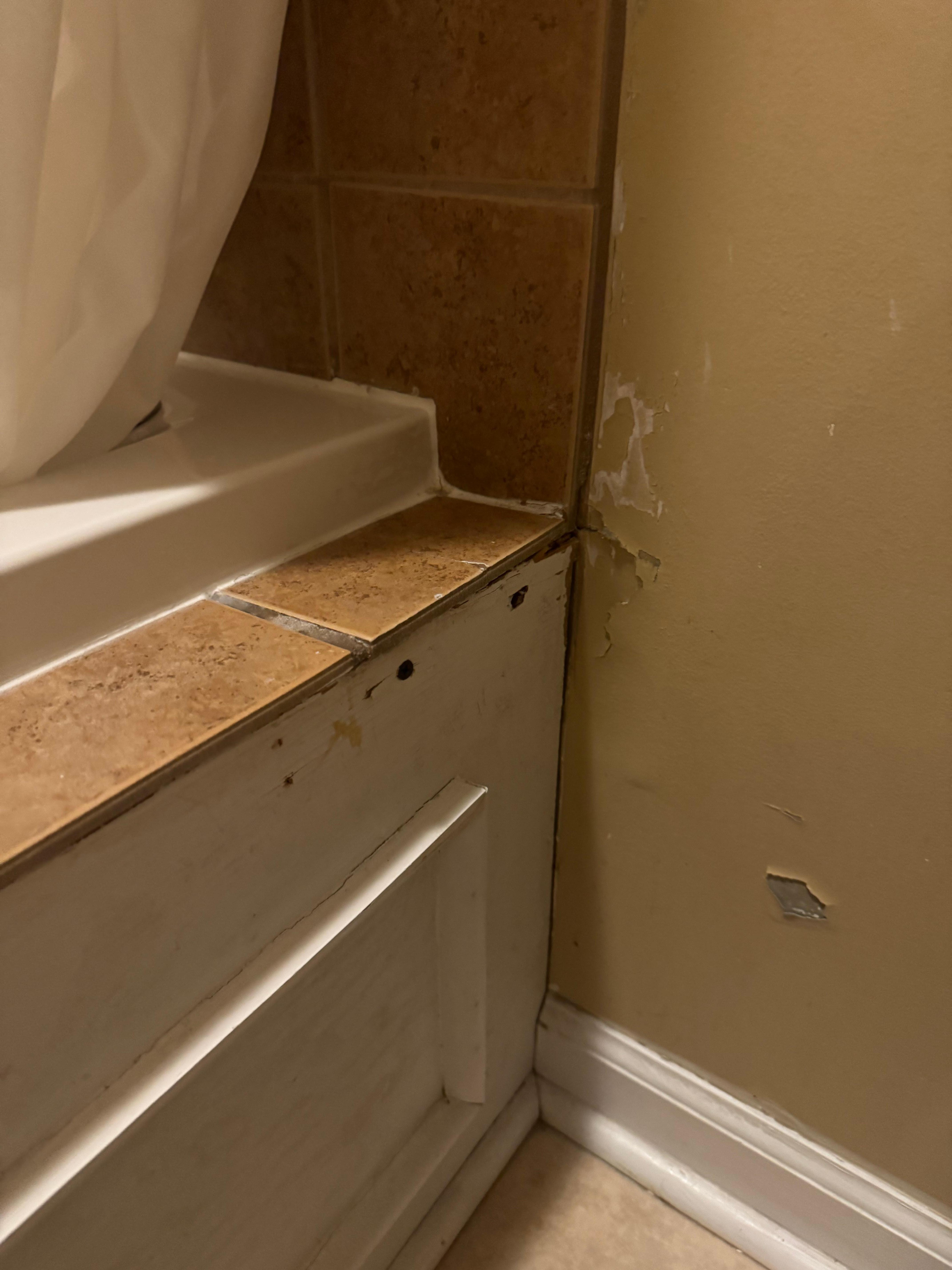 A handyman with caulking and paint could really improve the bathroom.