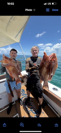 Hogfish