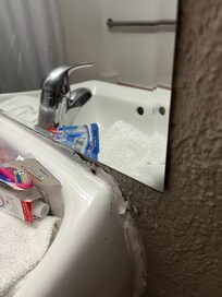 Cucarachas en el zin sobre mi cepillos de dientes