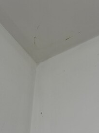 Stains on arrival