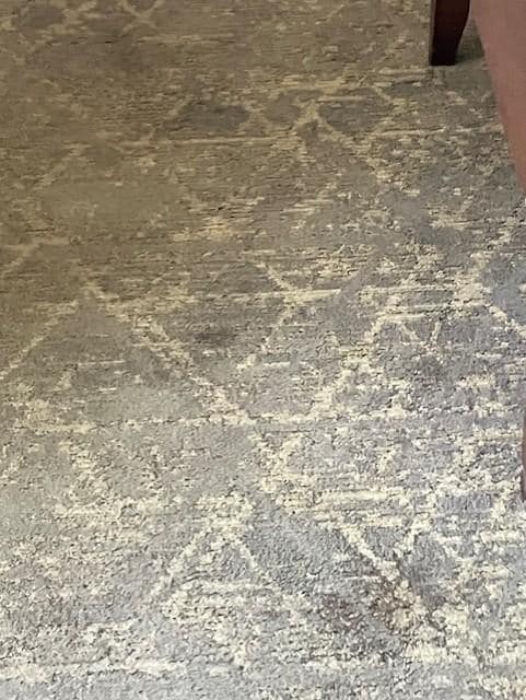 Stained carpeting