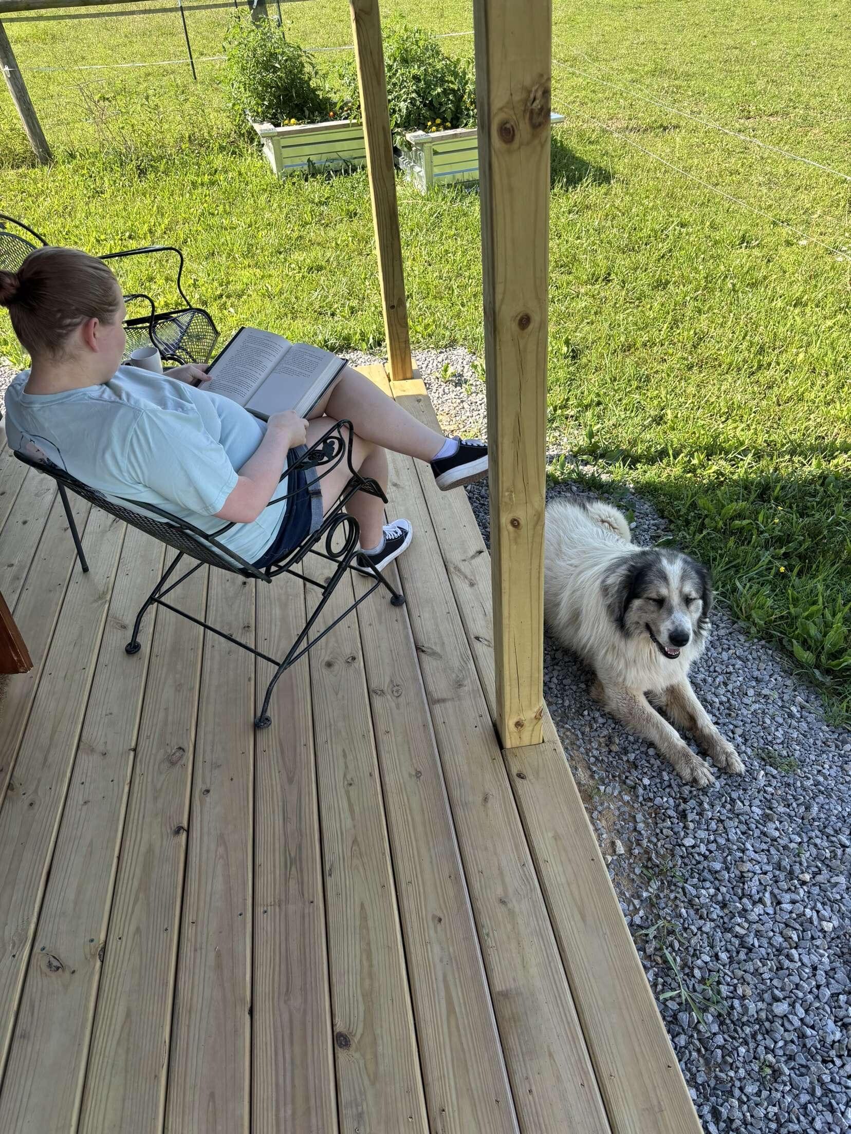 Sweet Hank kept me safe while I read my book