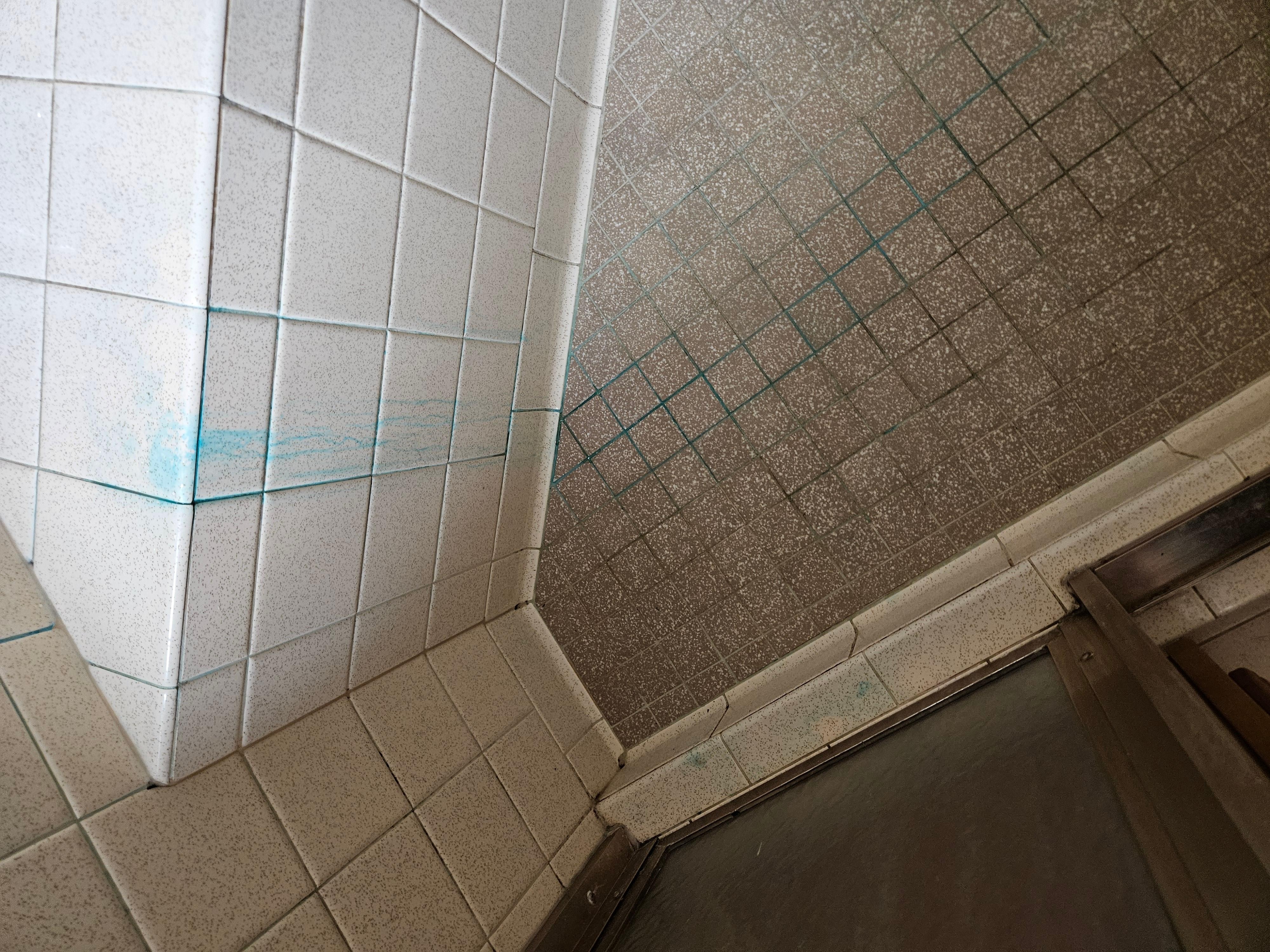 Blue stains in master bathroom shower. 