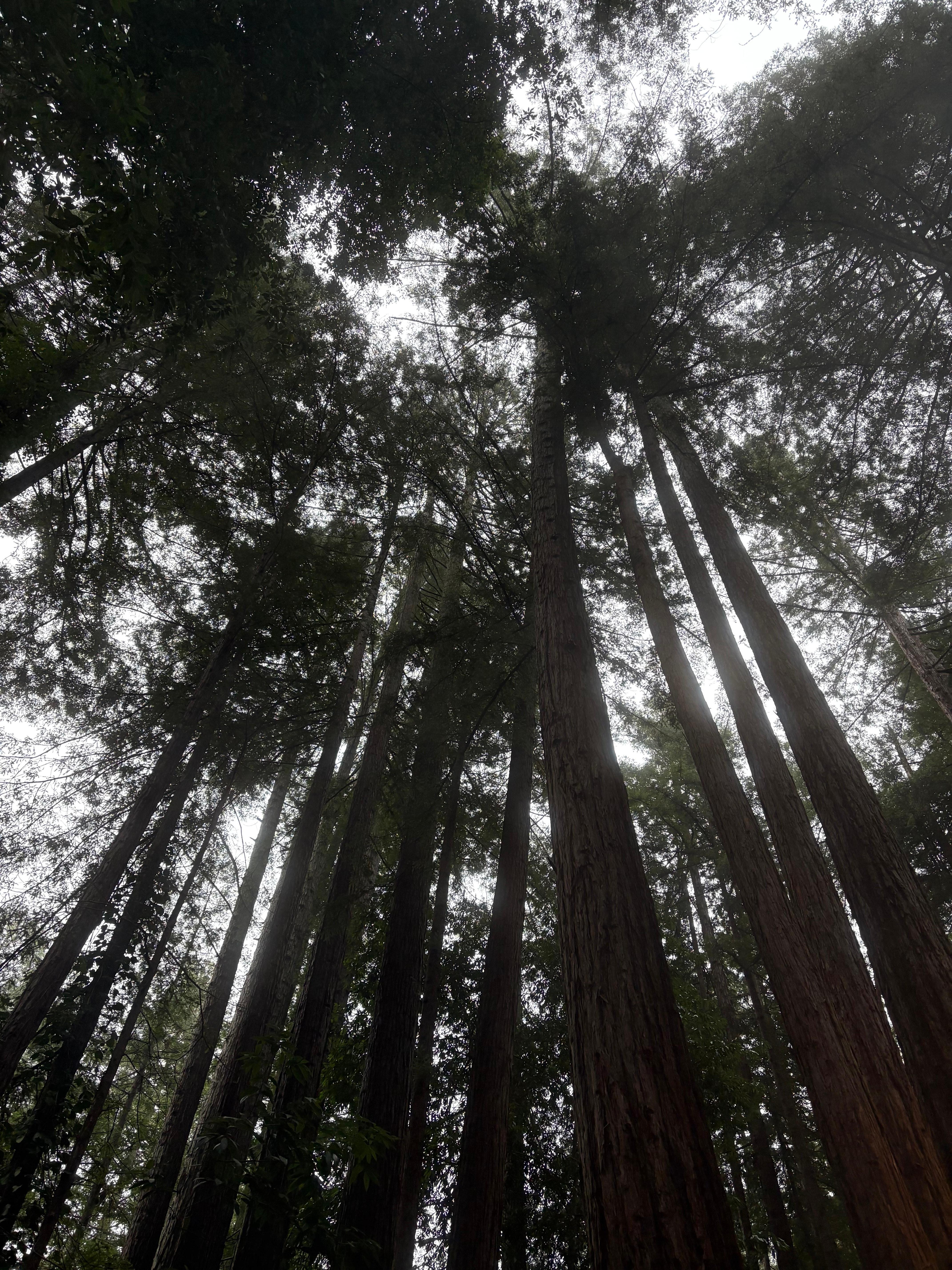 View from the hot tub