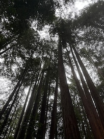 View from the hot tub