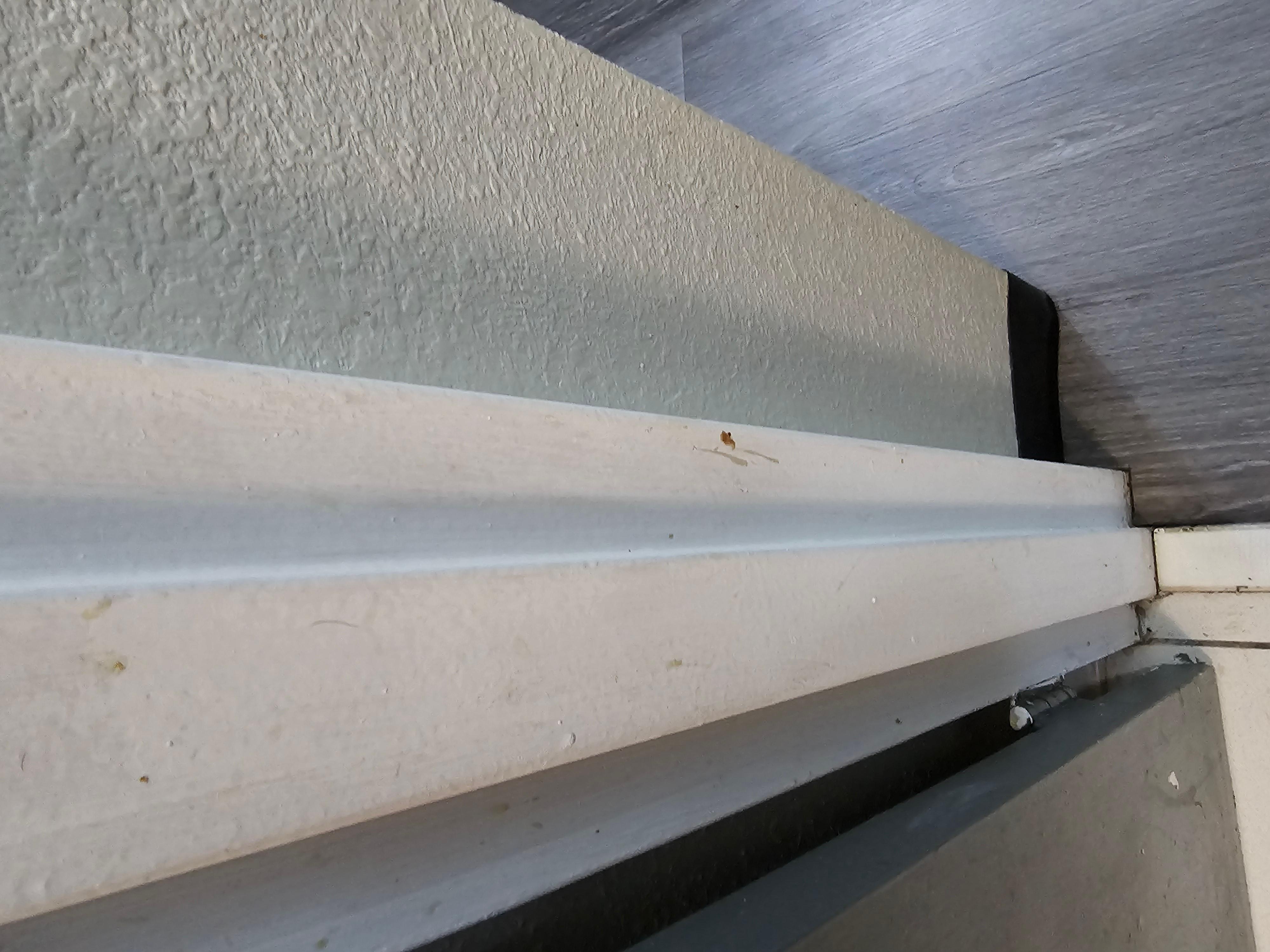 feces on trim