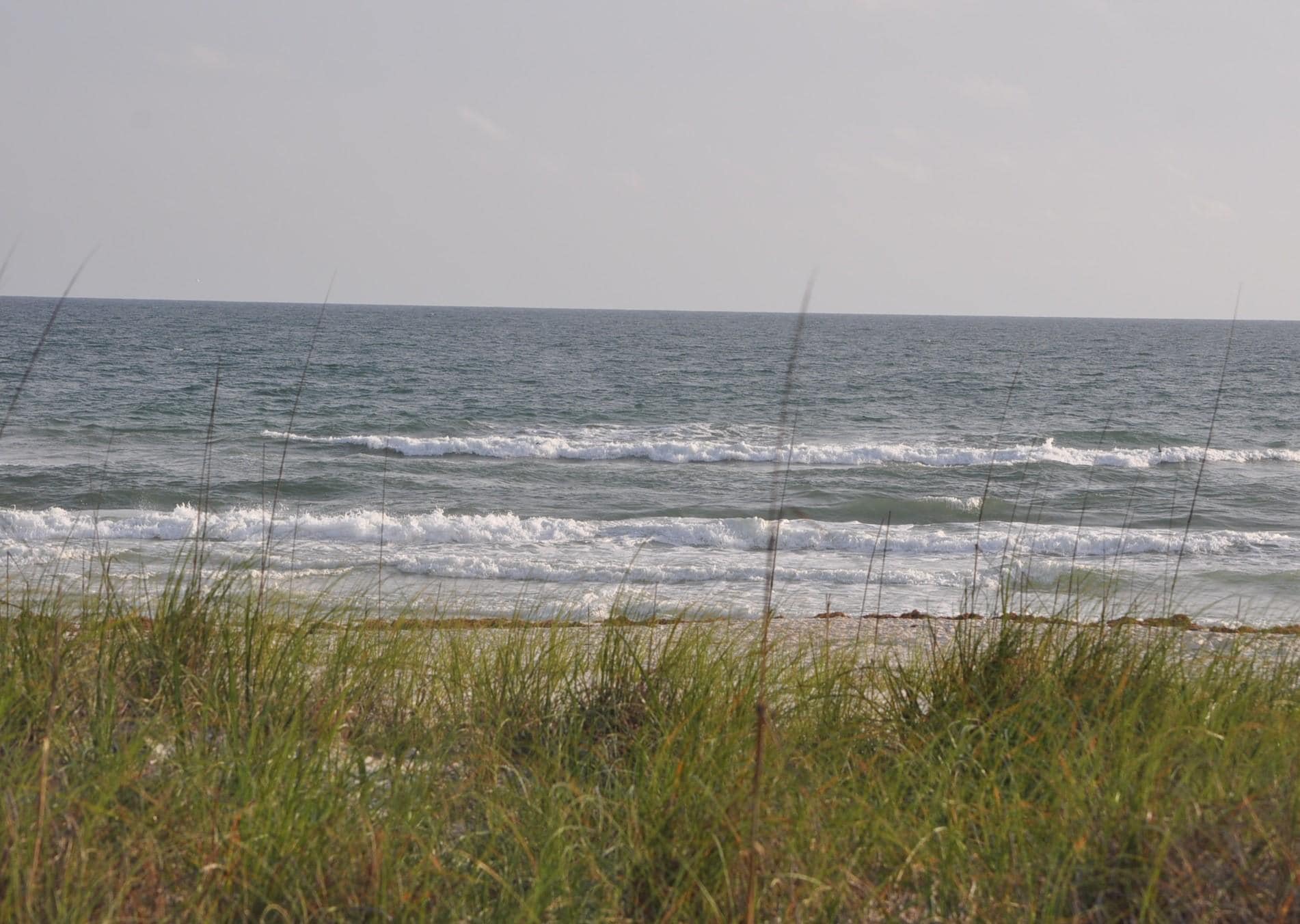 View from the porch.