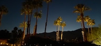Evening Sunset with Palms from back patio.