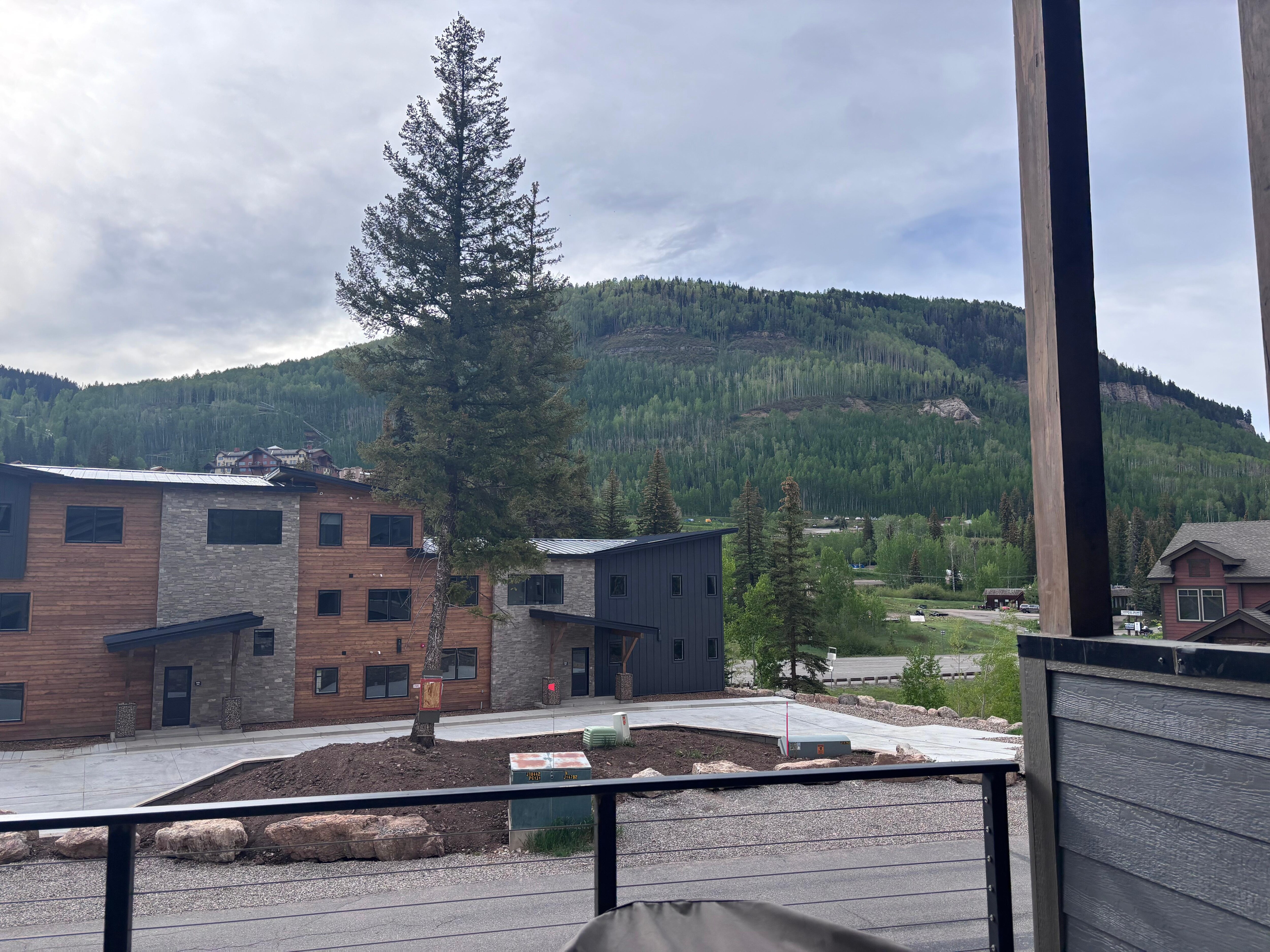 View from back porch