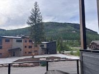 View from back porch