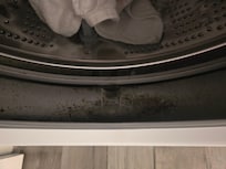 Black mold growing in clothes washer.