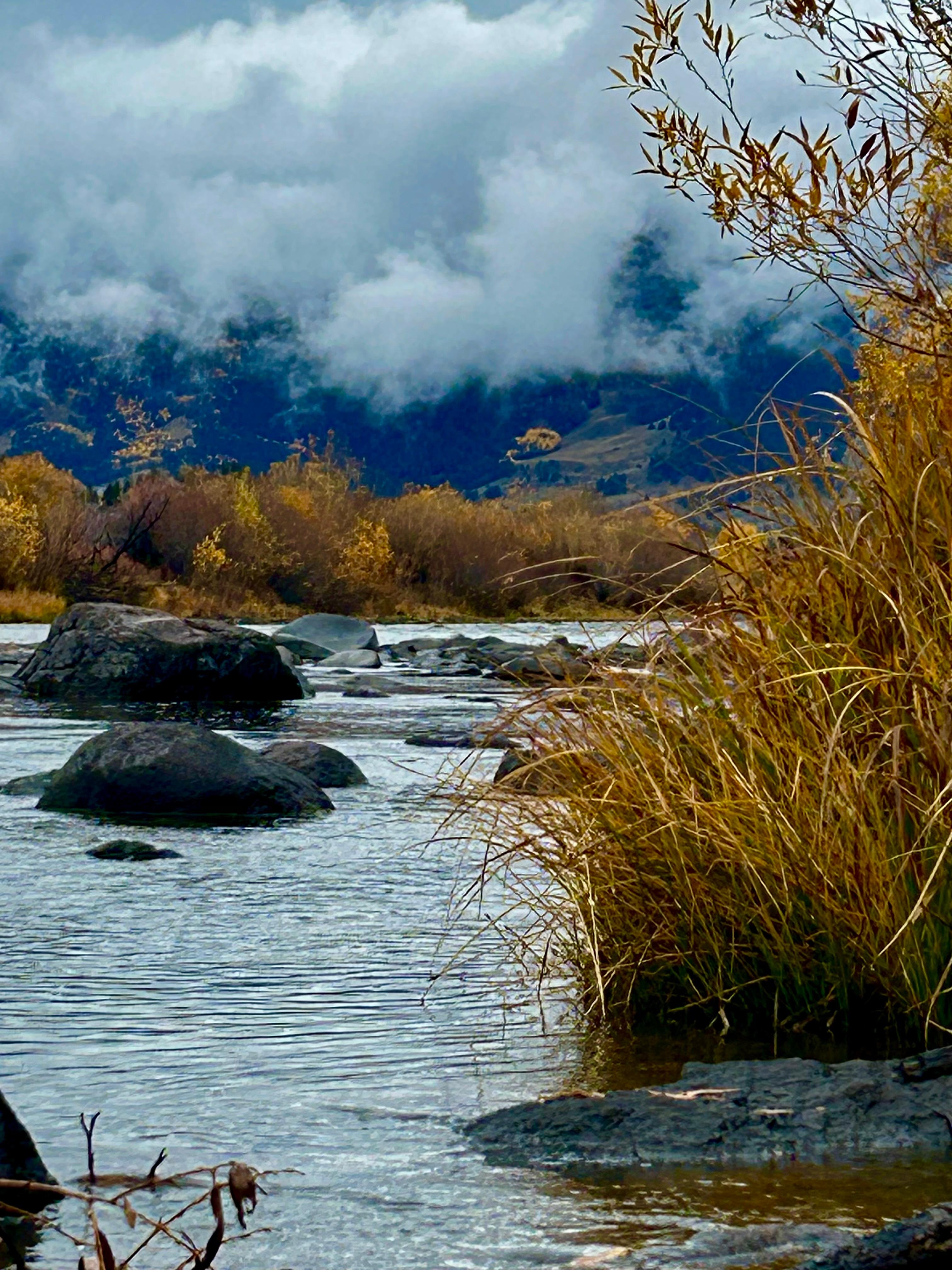 Just a short walk from the house. 