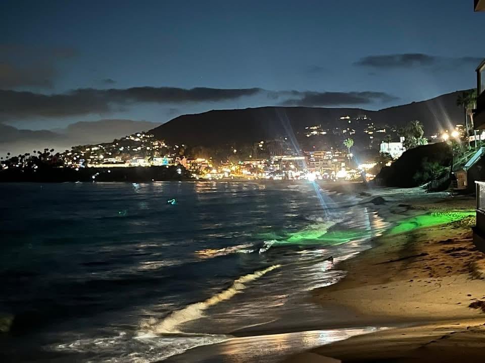 Beautiful view of Laguna Beach 