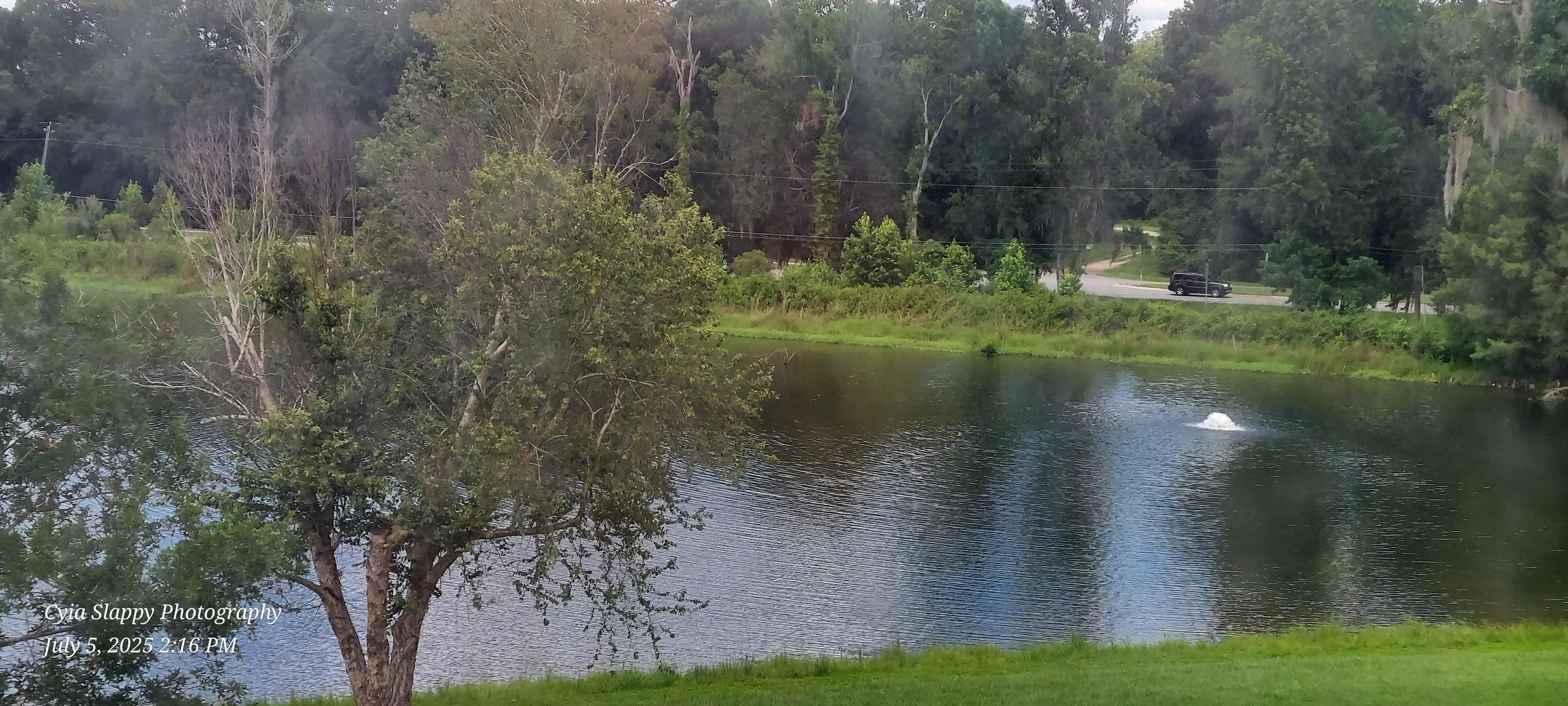 View of Summit Lake