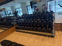 Free weights at gym