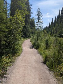 Trail to Wapta Falls.